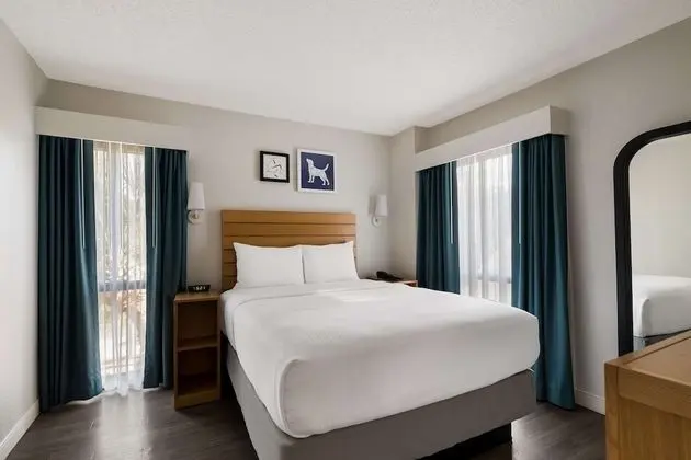 Süit, 1 En Büyük (King) Boy Yatak ve Çekyat, Avlu Manzaralı (One Bedroom)