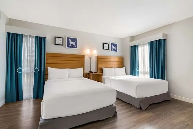 Süit, Birden Çok Yatak (Two Bedroom King + Two Doubles)