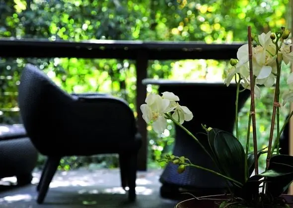 Luxury Süit, 1 Yatak Odası, Balkon (Rainforest Luxury Villa)