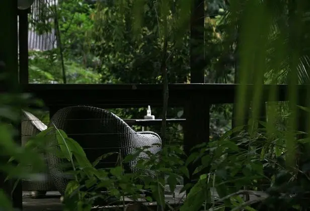 Luxury Süit, 1 Yatak Odası, Balkon (Rainforest Luxury Villa)
