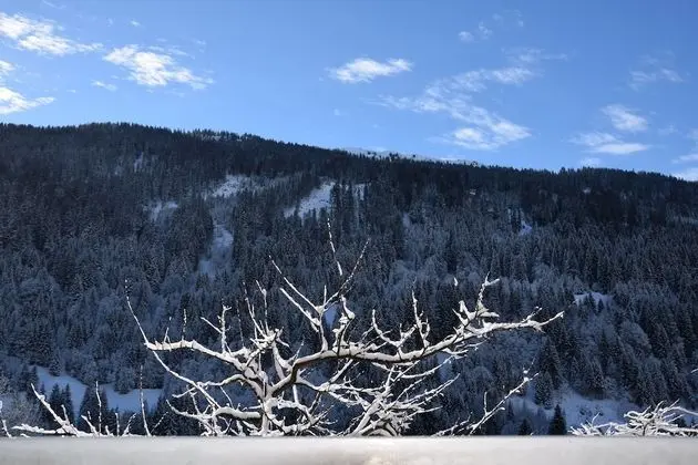 Classic Tek Büyük Yataklı Oda, Dağ Manzaralı