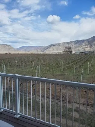 Oda, Birden Çok Yatak, Engellilere Uygun, Üzüm Asması Manzaralı