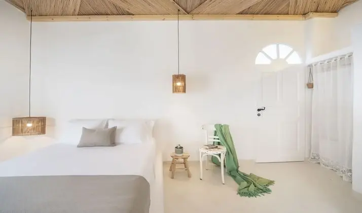 Superior Double Room with Plunge Pool