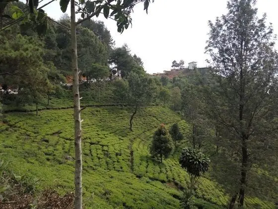 Family Villa, 3 Yatak Odası, Dağ Manzaralı, Bahçeli