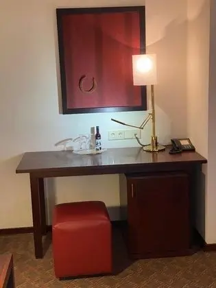 Superior Tek Kişilik Oda