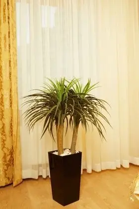 Elite Apart Daire, 1 Yatak Odası, Mutfak (Anny Akhmatovoi St 30)