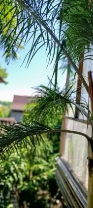 Superior Süit, 2 Yatak Odası