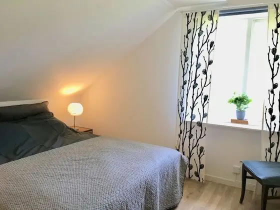 Tek Büyük Yataklı Oda, Ortak Banyo