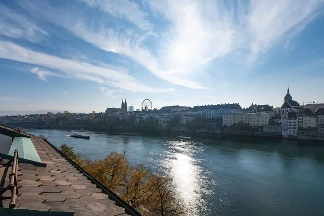 Deluxe Tek Büyük Yataklı Oda, Manzaralı (River Rhine View)