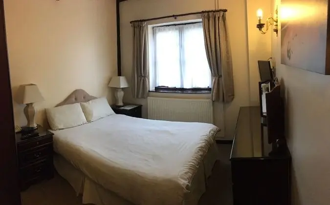 Tek Büyük Yataklı Oda, 1 Çift Kişilik Yatak, Banyolu/Duşlu