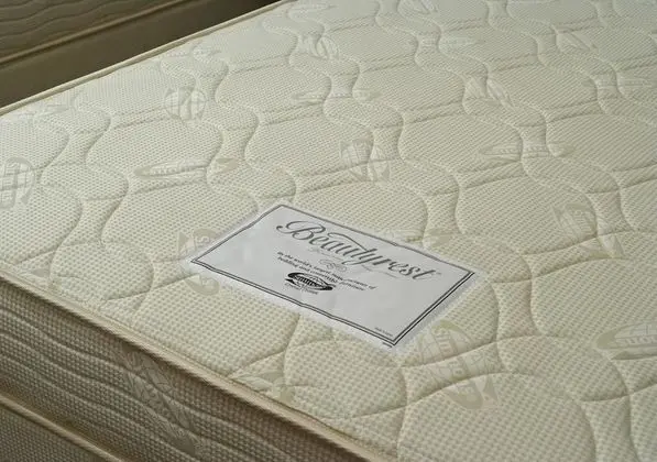 Deluxe Tek Kişilik Oda, 1 Çift Kişilik Yatak, Sigara İçilebilir