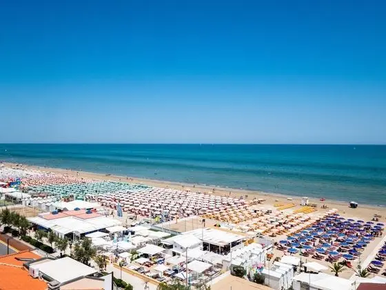 Basic Tek Kişilik Oda