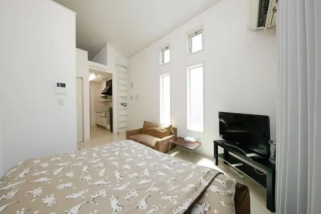 Basic Apart Daire (with Loft)
