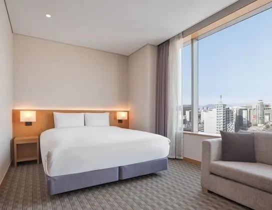 Deluxe Tek Büyük Yataklı Oda (High Floor / No Parking)