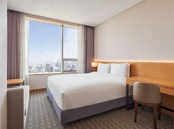 Deluxe Tek Büyük Yataklı Oda (High Floor / No Parking)