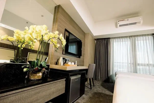 Deluxe Tek Kişilik Oda, 1 Yatak Odası, Sigara İçilmez, Şehir Manzaralı