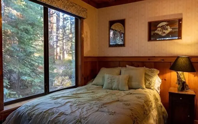 Ev