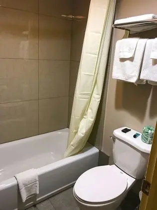 Tek Büyük Yataklı Oda, 2 Çift Kişilik Yatak, Sigara İçilmez