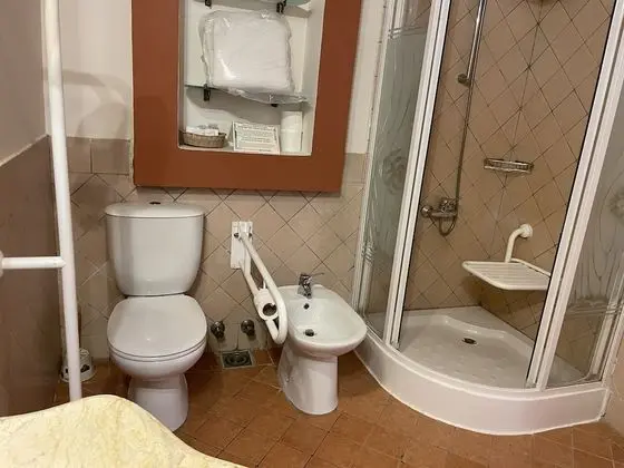 Standard Tek Büyük veya İki Ayrı Yataklı Oda, Bahçe Manzaralı