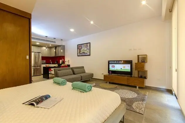 Soul Studio 201 King bed