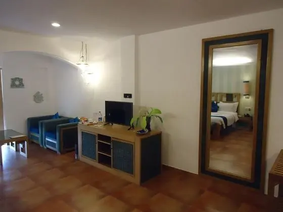 Premium Tek Büyük Yataklı Oda, 1 Yatak Odası, Sigara İçilebilir