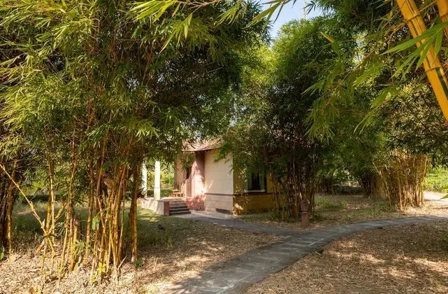 Premium Kır Evi, 1 En Büyük (King) Boy Yatak, Havuz Manzaralı