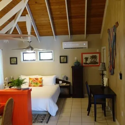 Comfort Kır Evi, 1 En Büyük (King) Boy Yatak, Engellilere Uygun