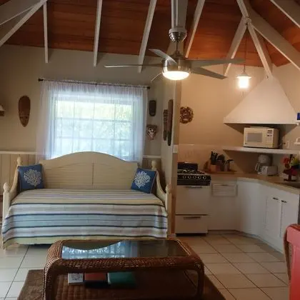 Comfort Kır Evi, 1 En Büyük (King) Boy Yatak, Engellilere Uygun