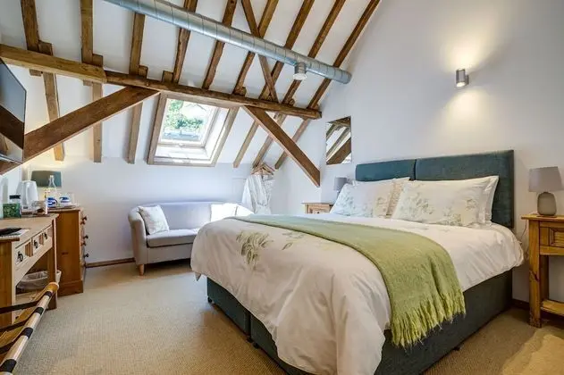 Tek Büyük Yataklı Oda, Özel Banyo, Park Manzaralı