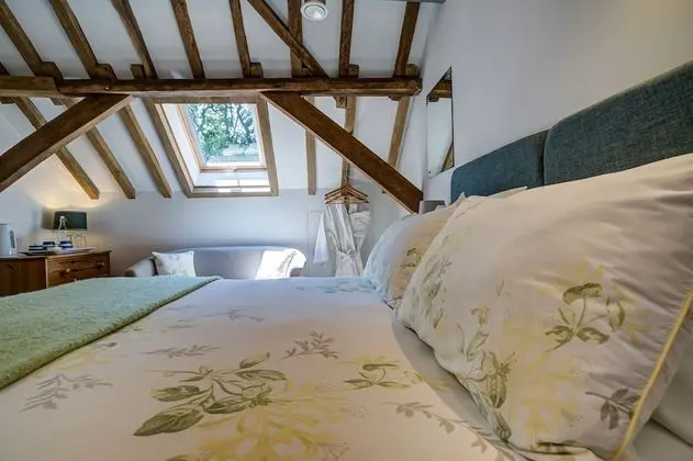 Tek Büyük Yataklı Oda, Özel Banyo, Park Manzaralı