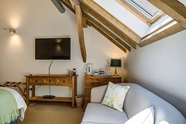 Tek Büyük Yataklı Oda, Özel Banyo, Park Manzaralı