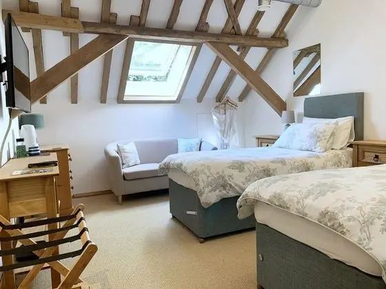 Tek Büyük Yataklı Oda, Özel Banyo, Park Manzaralı