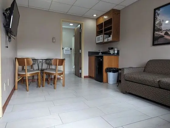 Family Süit, Buzdolabı ve Mikrodalga, Havuz Kenarı