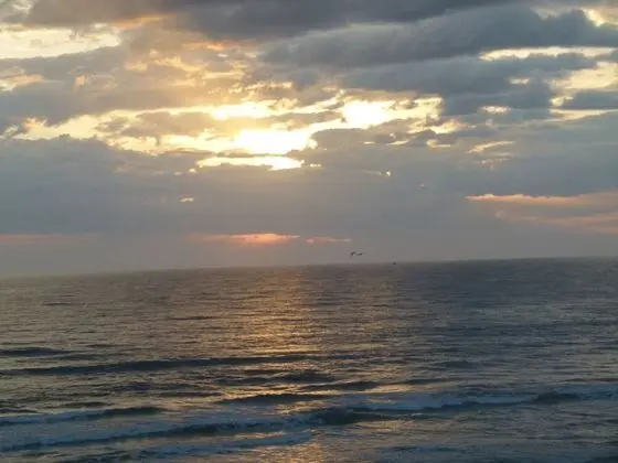 Panoramic Tek Büyük Yataklı Oda, Havuz Manzaralı, Okyanusa Sıfır