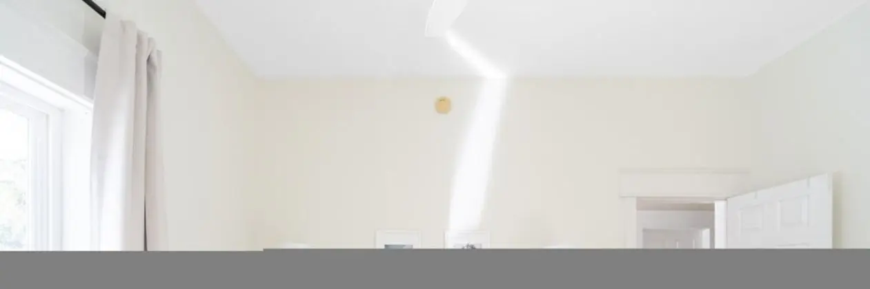Ev