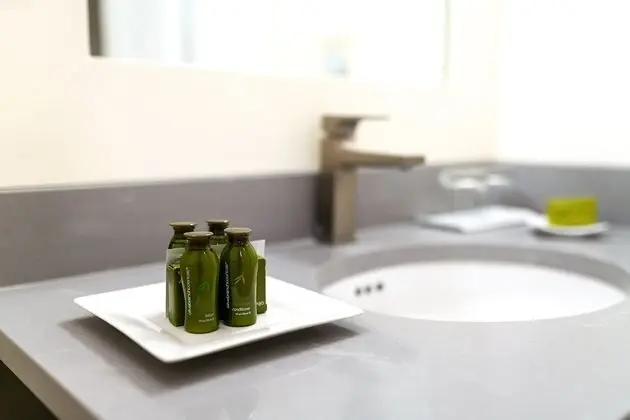 Deluxe Oda, 1 En Büyük (King) Boy Yatak, Avlu Manzaralı