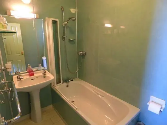 Superior Tek Büyük Yataklı Oda, Banyolu/Duşlu (Room 5)