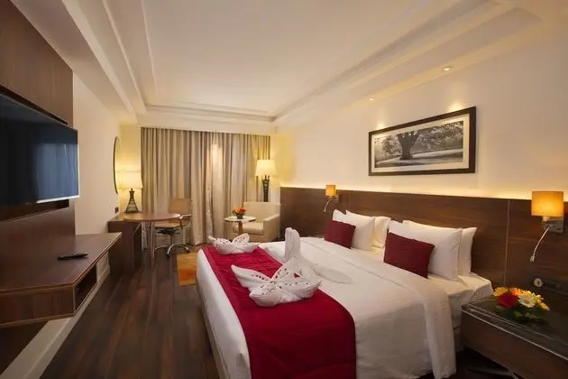 Premium Tek Büyük Yataklı Oda, 1 Çift Kişilik Yatak, Sigara İçilmez