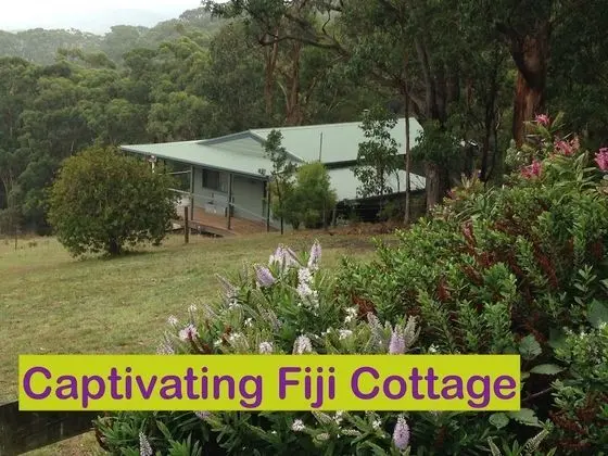 Luxury Kır Evi, Mutfak (Fiji Cottage)