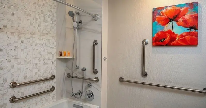 Deluxe Oda, 1 En Büyük (King) Boy Yatak, Engellilere Uygun