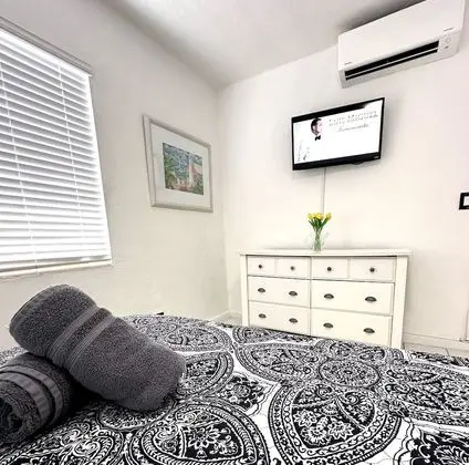 Televizyon