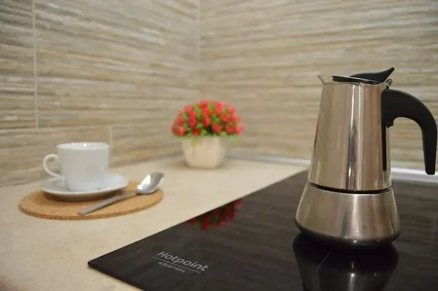 Classic Apart Daire, Engellilere Uygun, Küçük Mutfak