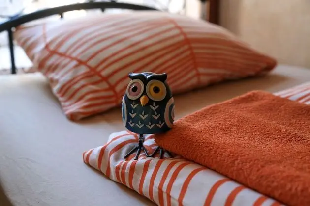 Ortak Ranzalı Oda (Bed in 6-beds shared dormitory)