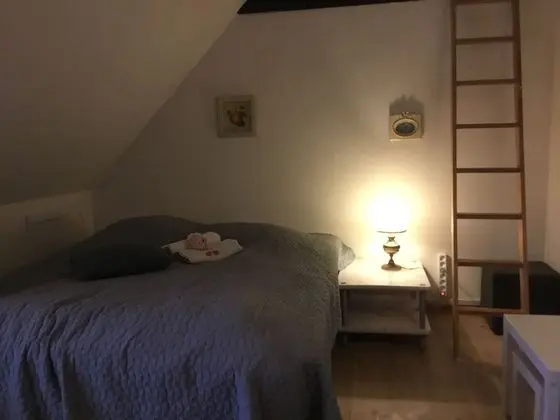 Standard Tek Büyük Yataklı Oda (Double bedroom no. 1)