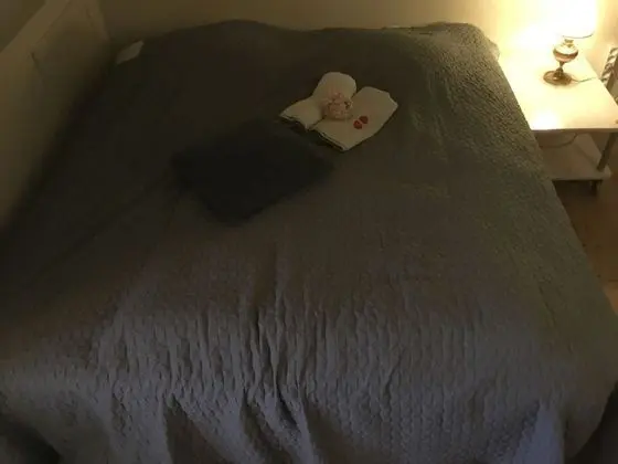 Standard Tek Büyük Yataklı Oda (Double bedroom no. 1)