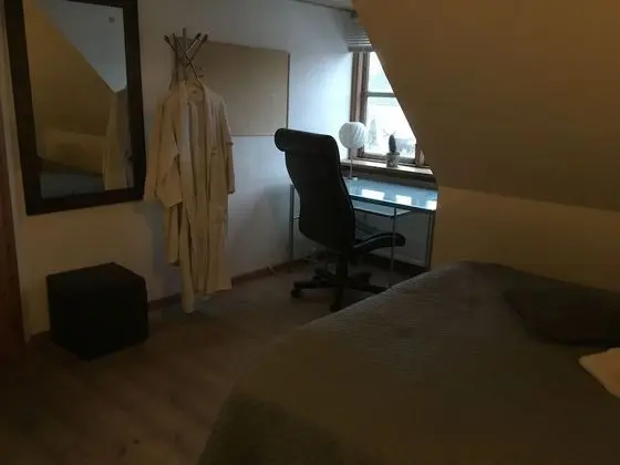 Standard Tek Büyük Yataklı Oda (Double bedroom no. 1)