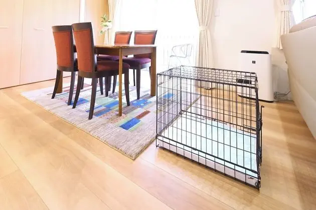 Premium Oda, Sigara İçilmez (Chic Modern Suite)