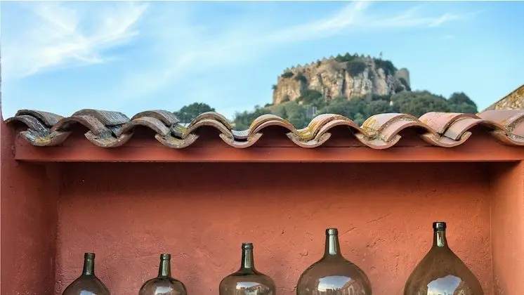 Tek Büyük Yataklı Oda, Teras