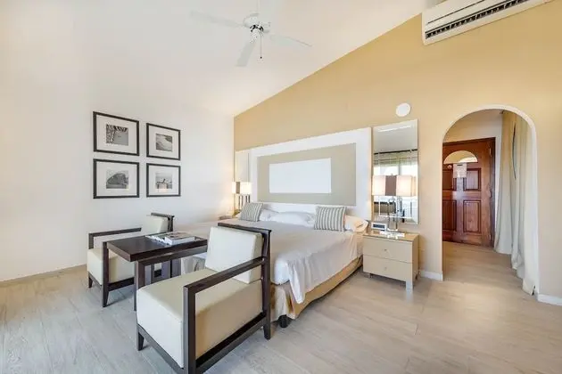 Tek Büyük Yataklı Oda, Deniz Manzaralı (Privilege)