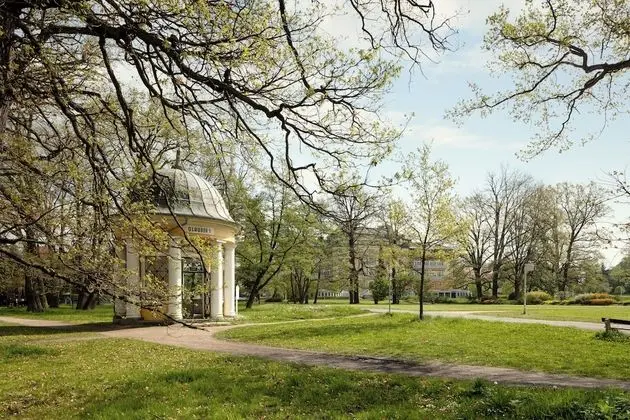 Deluxe Oda, 1 Büyük (Queen) Boy Yatak, Park Manzaralı